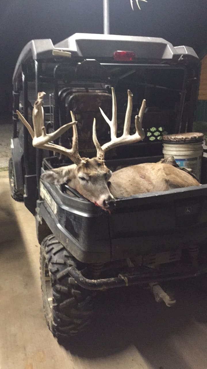trophy deer in a truck